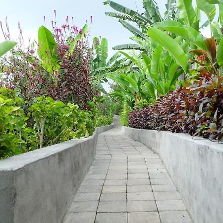 Rendira Villa 2 Ubud Exteriér fotografie
